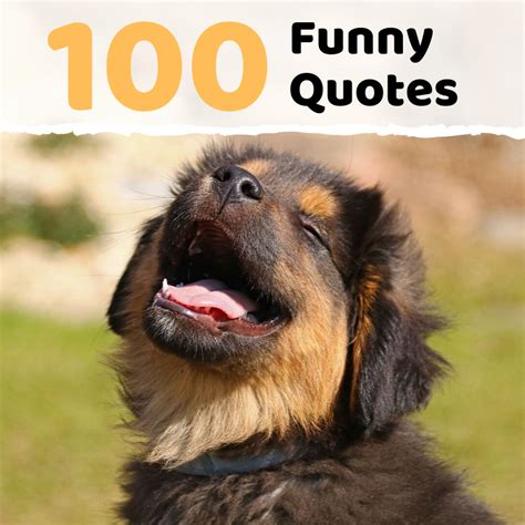 Funny Photo Quotes and Sayings